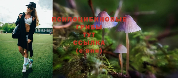 2c-b Нефтегорск