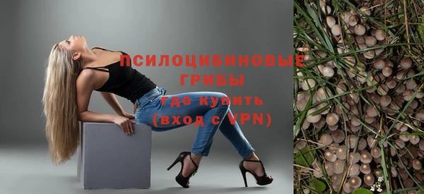 метадон Ветлуга